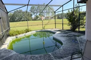 719 Corvina Dr, Davenport, FL 33897 - Photo 8