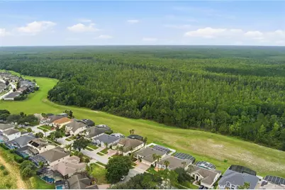 301 Birkdale Street, Davenport, FL 33897 - Photo 34