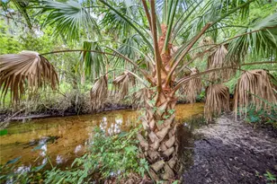 1617 Horseshoe Creek Rd, Davenport, FL 33837 - Photo 66