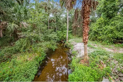 1617 Horseshoe Creek Road, Davenport, FL 33837 - Photo 58