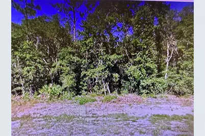 0 Chipo St, Interlachen, FL 32148 - Photo 1