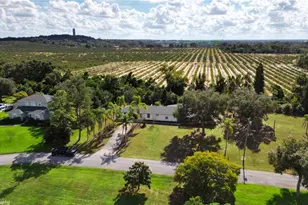 1820 Coriander Dr, Poinciana, FL 34759 - Photo 44