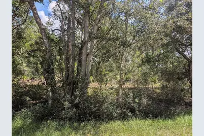 824 Gardenia Drive, Indian Lake Estates, FL 33855 - Photo 4