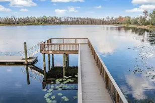 19308 Breynia Dr, Lutz, FL 33558 - Photo 70