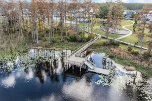 19308 Breynia Dr, Lutz, FL 33558 - Photo 68