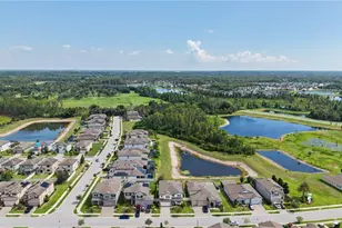 19308 Breynia Dr, Lutz, FL 33558 - Photo 64