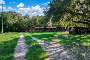 1682 Friendship Ln, Zolfo Springs, FL 33890 - Photo 6