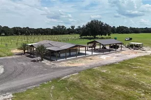 610 N Hollandtown Rd, Wauchula, FL 33873 - Photo 56