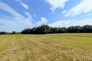 610 N Hollandtown Rd, Wauchula, FL 33873 - Photo 36
