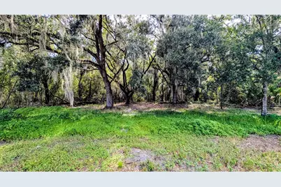 610 N Hollandtown Road, Wauchula, FL 33873 - Photo 44