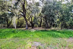 610 N Hollandtown Rd, Wauchula, FL 33873 - Photo 44