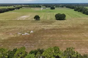 610 N Hollandtown Rd, Wauchula, FL 33873 - Photo 64