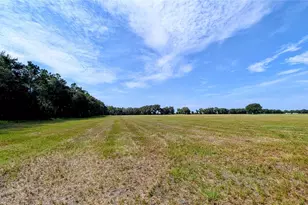 610 N Hollandtown Rd, Wauchula, FL 33873 - Photo 42