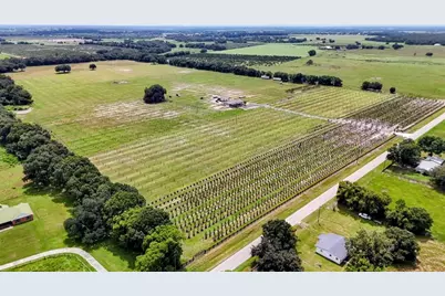 610 N Hollandtown Road, Wauchula, FL 33873 - Photo 6