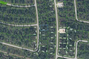 8308 Mantua Ave, Sebring, FL 33872 - Photo 1