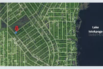457 Nichele Boulevard, Lake Placid, FL 33852 - Photo 4