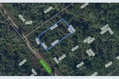 457 Nichele Boulevard, Lake Placid, FL 33852 - Photo 1