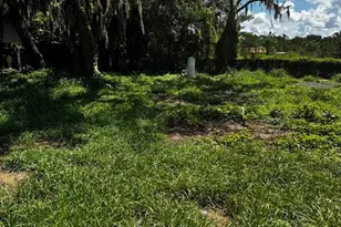 6002 County Road 547 N, Davenport, FL 33837 - Photo 20