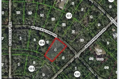 11476 W Cockscomb Drive, Crystal River, FL 34428 - Photo 2