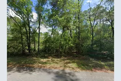 11476 W Cockscomb Drive, Crystal River, FL 34428 - Photo 1