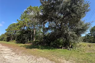 0 Alba, Indian Lake Estates, FL 33855 - Photo 1
