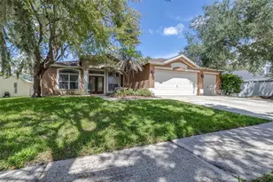 17012 Falconridge Rd, Lithia, FL 33547 - Photo 6