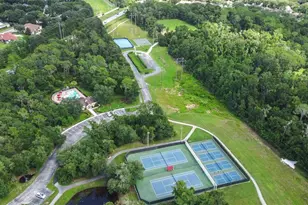 17012 Falconridge Rd, Lithia, FL 33547 - Photo 88