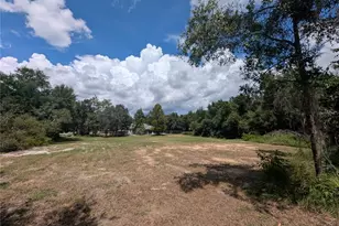 3002 Turnbull Bay Rd, New Smyrna Beach, FL 32168 - Photo 52