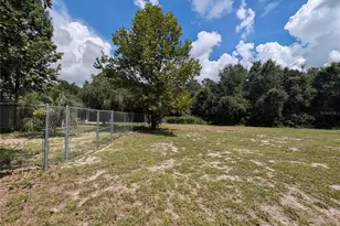 3002 Turnbull Bay Rd, New Smyrna Beach, FL 32168 - Photo 50