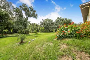 1701 Champagne Rd, Davenport, FL 33837 - Photo 36