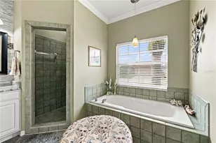 4232 Dornoch Dr, Lake Wales, FL 33859 - Photo 48