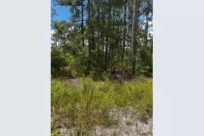 McClellan Road #48, Frostproof, FL 33843 - Photo 2