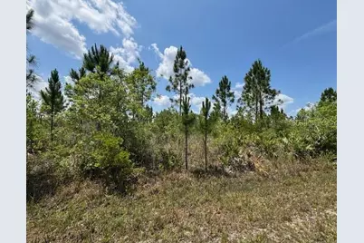 1015 Calliandra Drive, Indian Lake Estates, FL 33855 - Photo 2