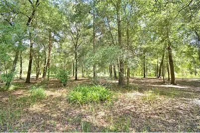 6711 Redwing Road, Groveland, FL 34736 - Photo 66