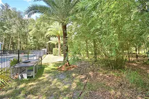 6711 Redwing Rd, Groveland, FL 34736 - Photo 68