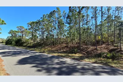 103 Sentimental Court, Lake Placid, FL 33852 - Photo 4