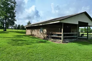 17210 Parrish Grove Rd, Dade City, FL 33523 - Photo 46