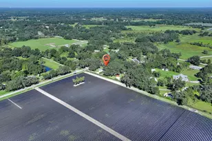 4108 N Forbes Rd, Plant City, FL 33565 - Photo 50