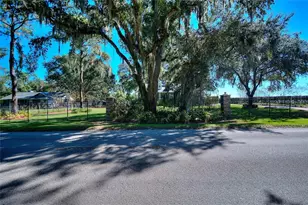 4108 N Forbes Rd, Plant City, FL 33565 - Photo 52