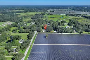 4108 N Forbes Rd, Plant City, FL 33565 - Photo 50