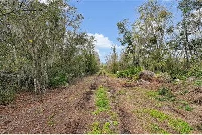 3381 Lake Buffum Road E, Fort Meade, FL 33841 - Photo 6