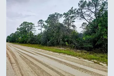 105 Bronson Street NW, Lake Placid, FL 33852 - Photo 2