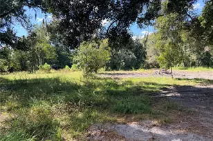 4528 Meadowview Dr, Lakeland, FL 33810 - Photo 8