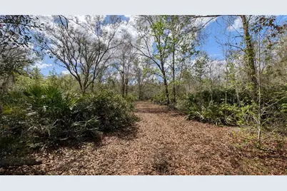 Gillette Road, Zolfo Springs, FL 33890 - Photo 24