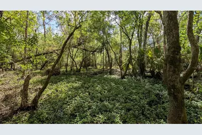 Gillette Road, Zolfo Springs, FL 33890 - Photo 46