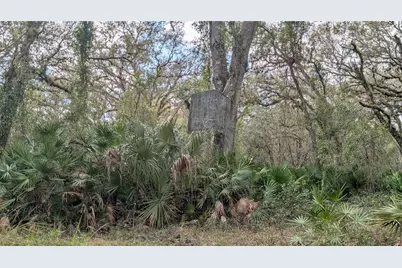 Gillette Road, Zolfo Springs, FL 33890 - Photo 34