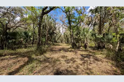 Gillette Road, Zolfo Springs, FL 33890 - Photo 1