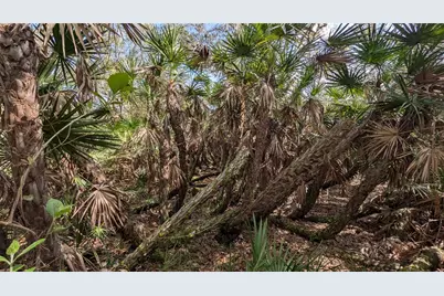 Gillette Road, Zolfo Springs, FL 33890 - Photo 54