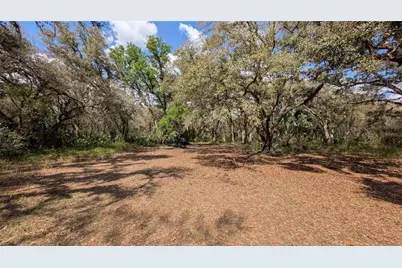 Gillette Road, Zolfo Springs, FL 33890 - Photo 52