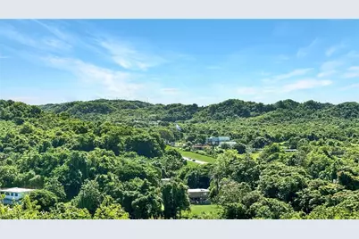 . Domingo Ruiz Ward, Palache El Cerro Sector, Arecibo, PR 00612 - Photo 44